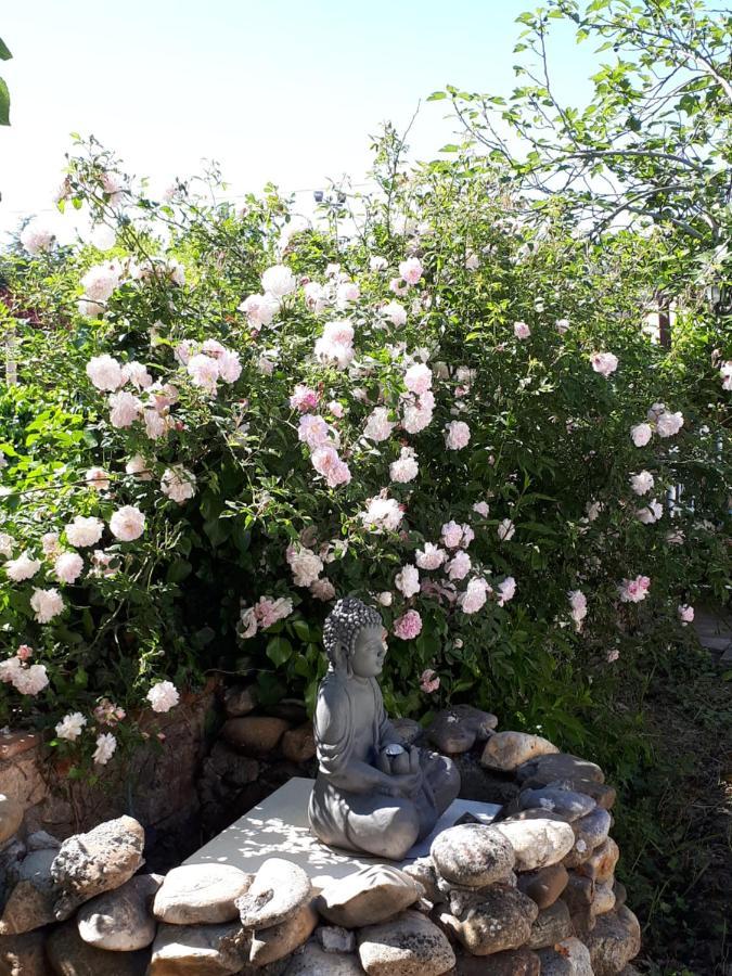 Alairac La Medeenne المظهر الخارجي الصورة